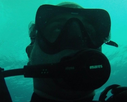Ben Desper swims with sharks